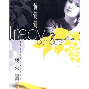 慢脚文化网站免费
